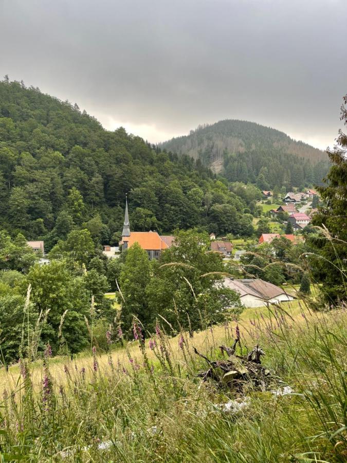 Gemuetliches Apartment Mit Kamin Und Wohnkueche Herzberg am Harz Esterno foto