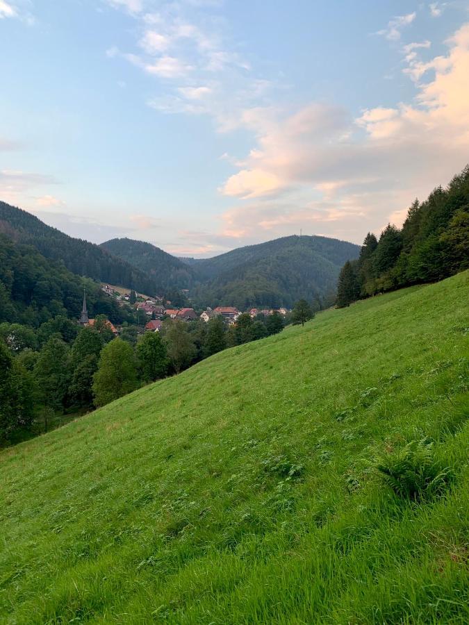 Gemuetliches Apartment Mit Kamin Und Wohnkueche Herzberg am Harz Esterno foto